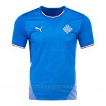 Camiseta Islandia 1ª 2024